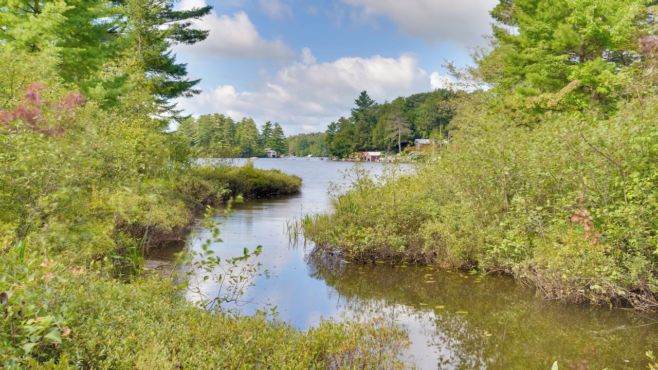 Photo of Outdoor in Forestport