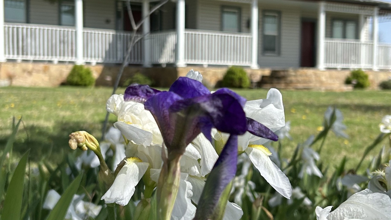 Photo of Outdoor in Jonesboro
