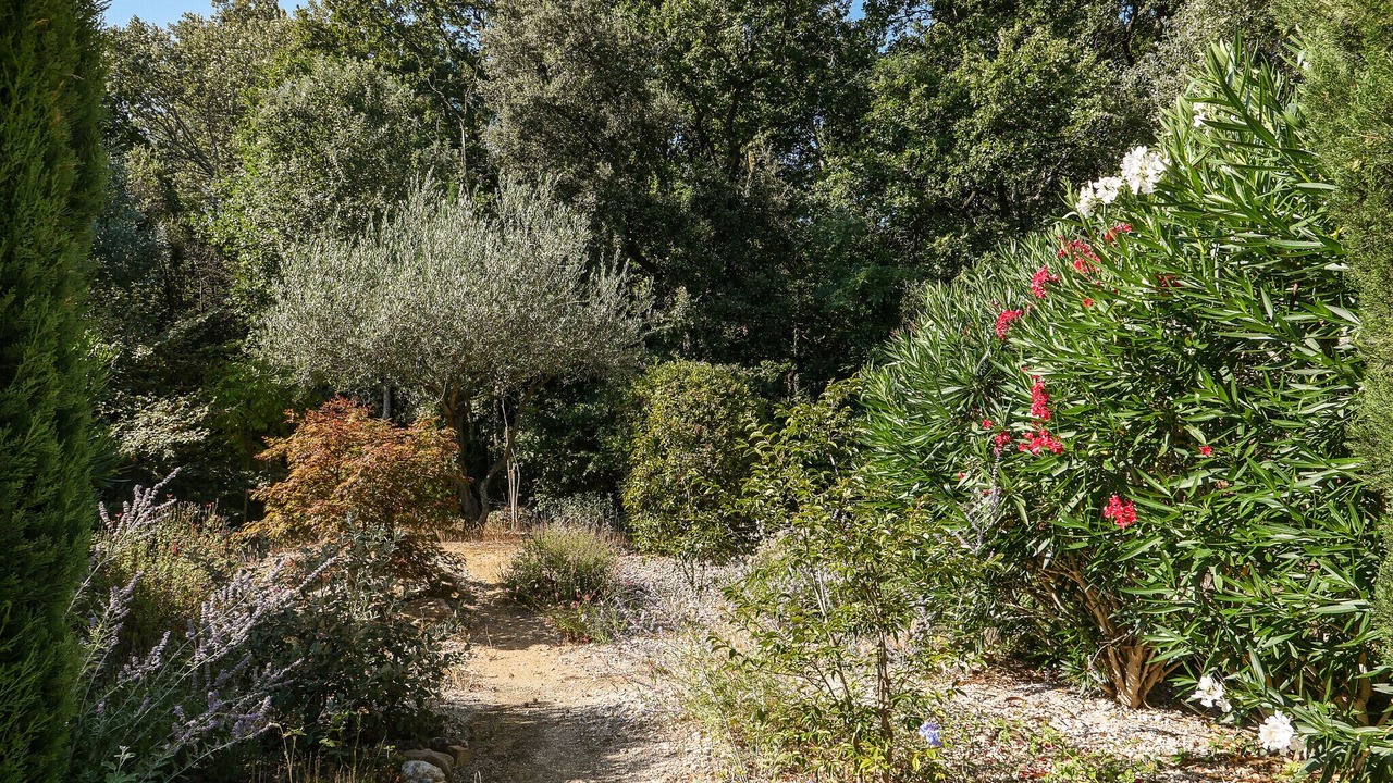 Photo of Outdoor in Bollene