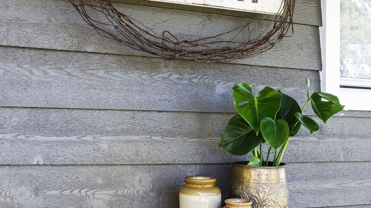 Photo of Outdoor in Bilpin