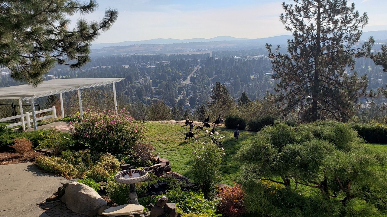 Photo of Others in Spokane