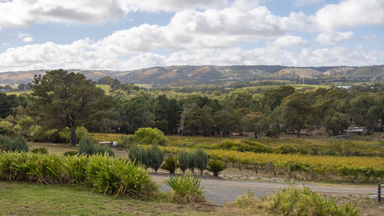 Photo of Outdoor in McLaren Flat