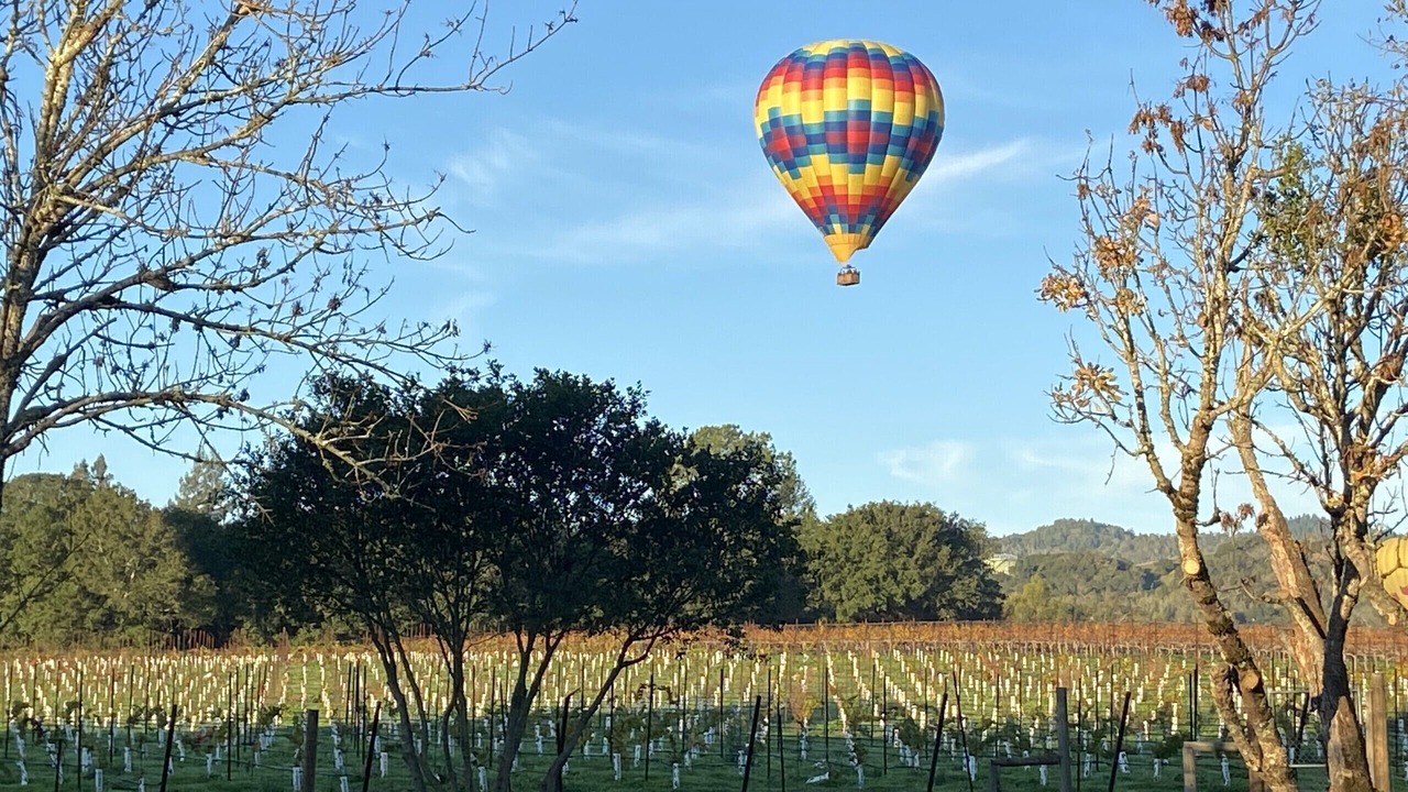 Photo of Others in Napa
