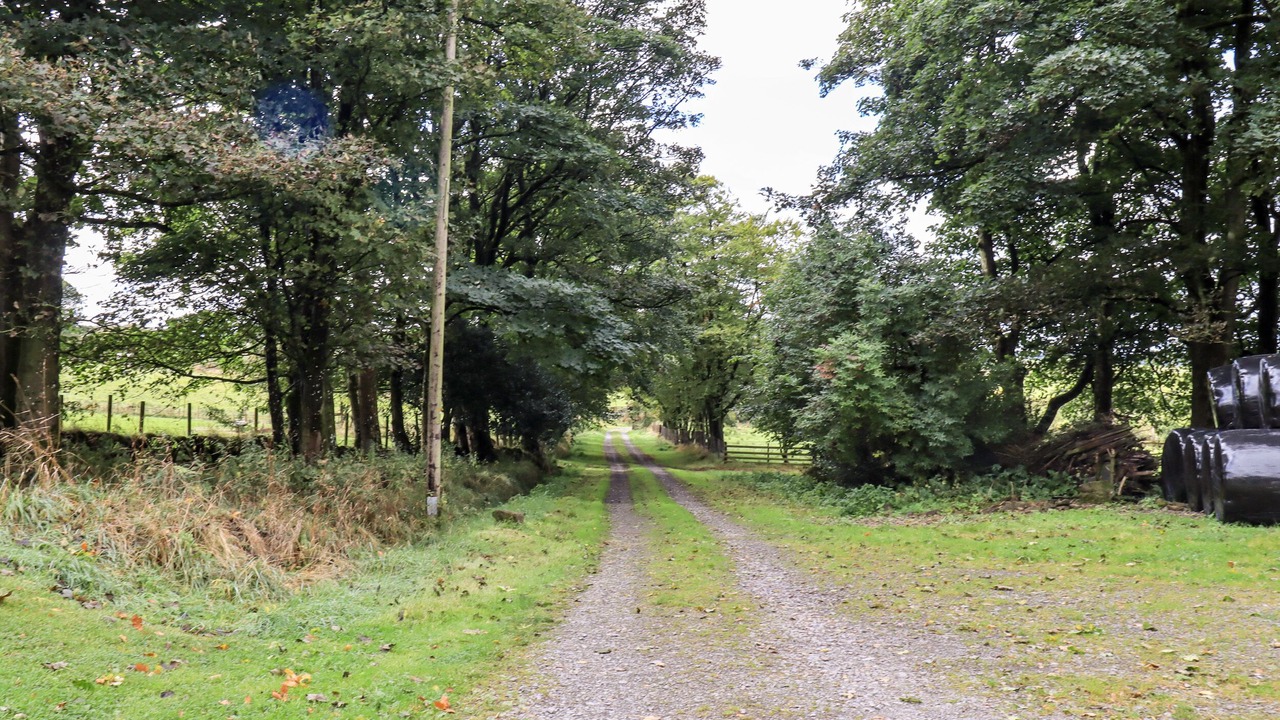 Photo of Outdoor in Wing