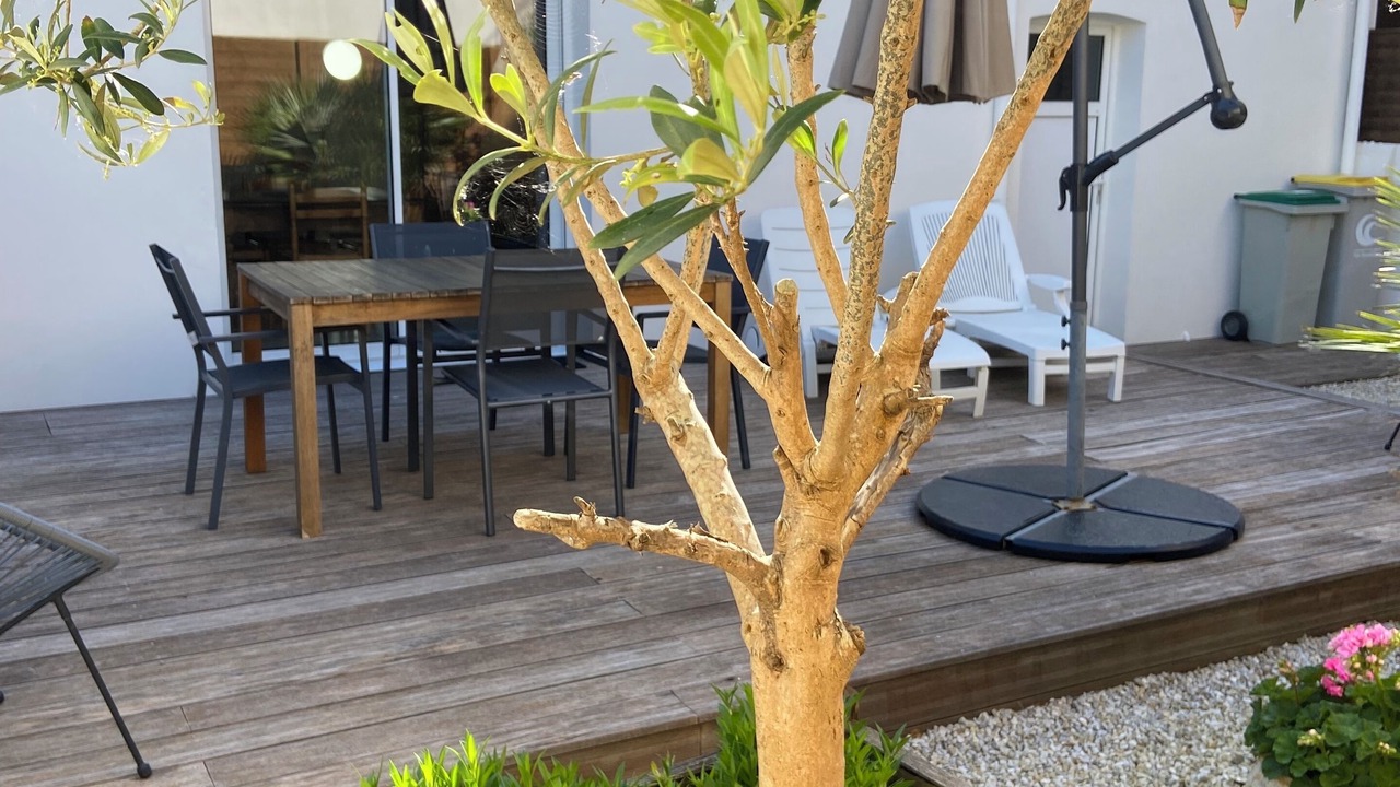 Photo of Outdoor in Penmarch