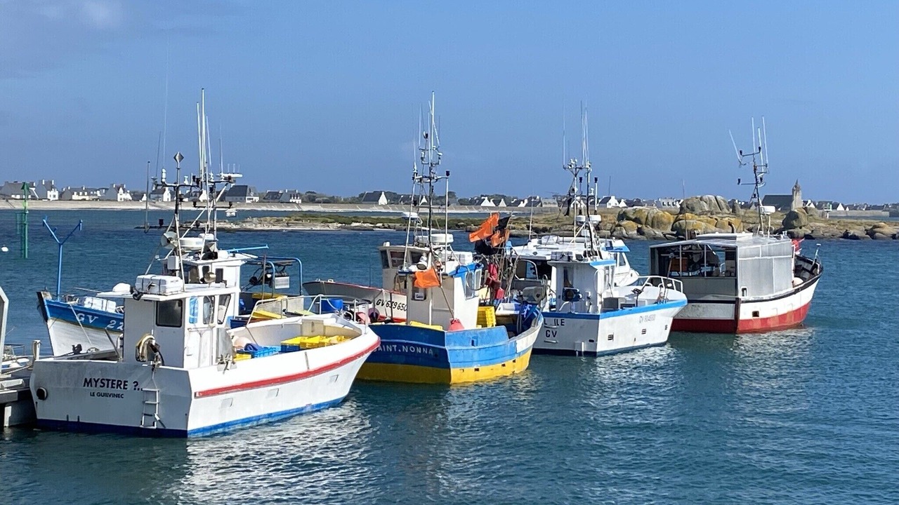 Photo of Others in Penmarch