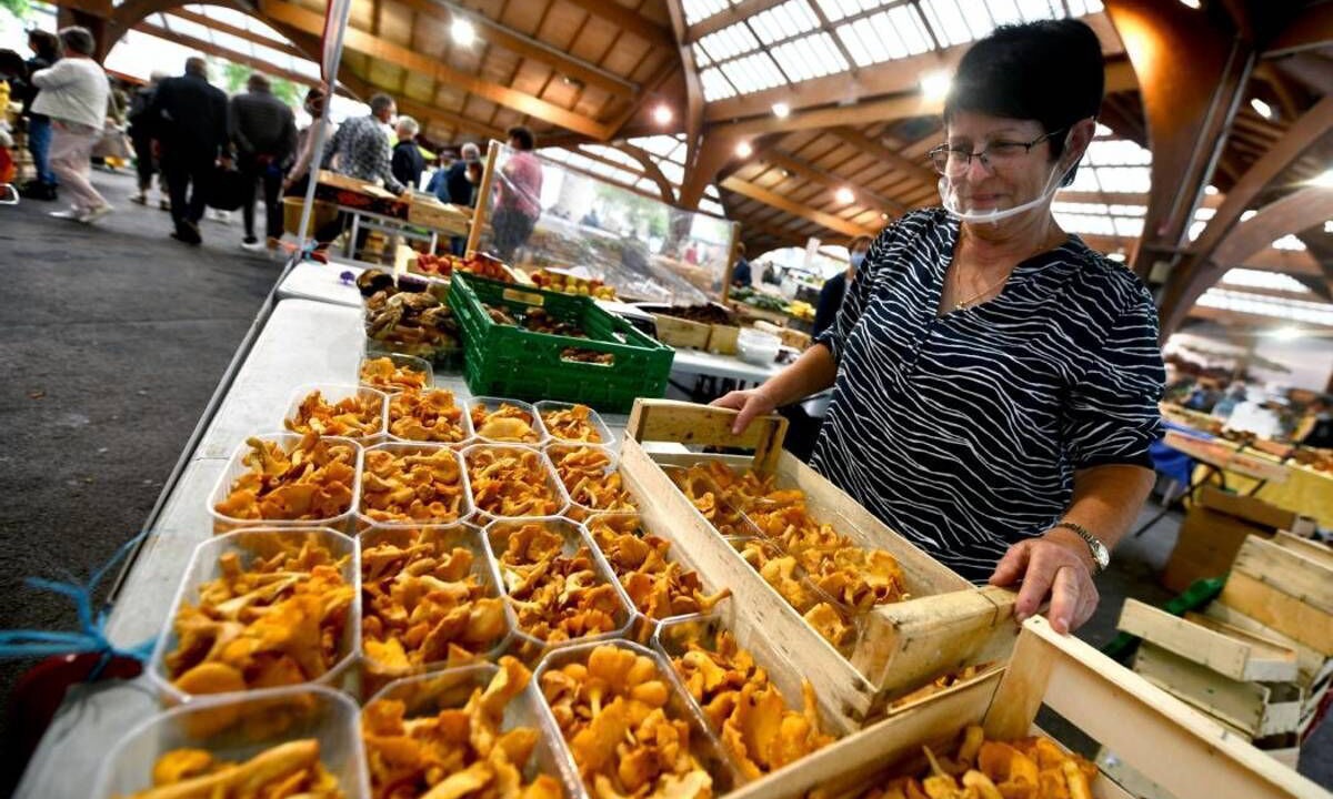 Photo of Others in Malemort-sur-Correze