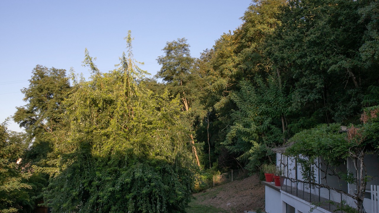 Photo of Outdoor in Malemort-sur-Correze