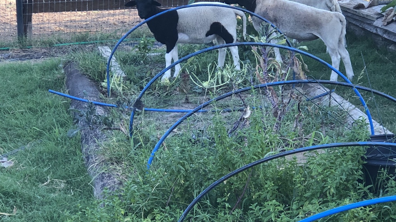 Photo of Outdoor in Wise County