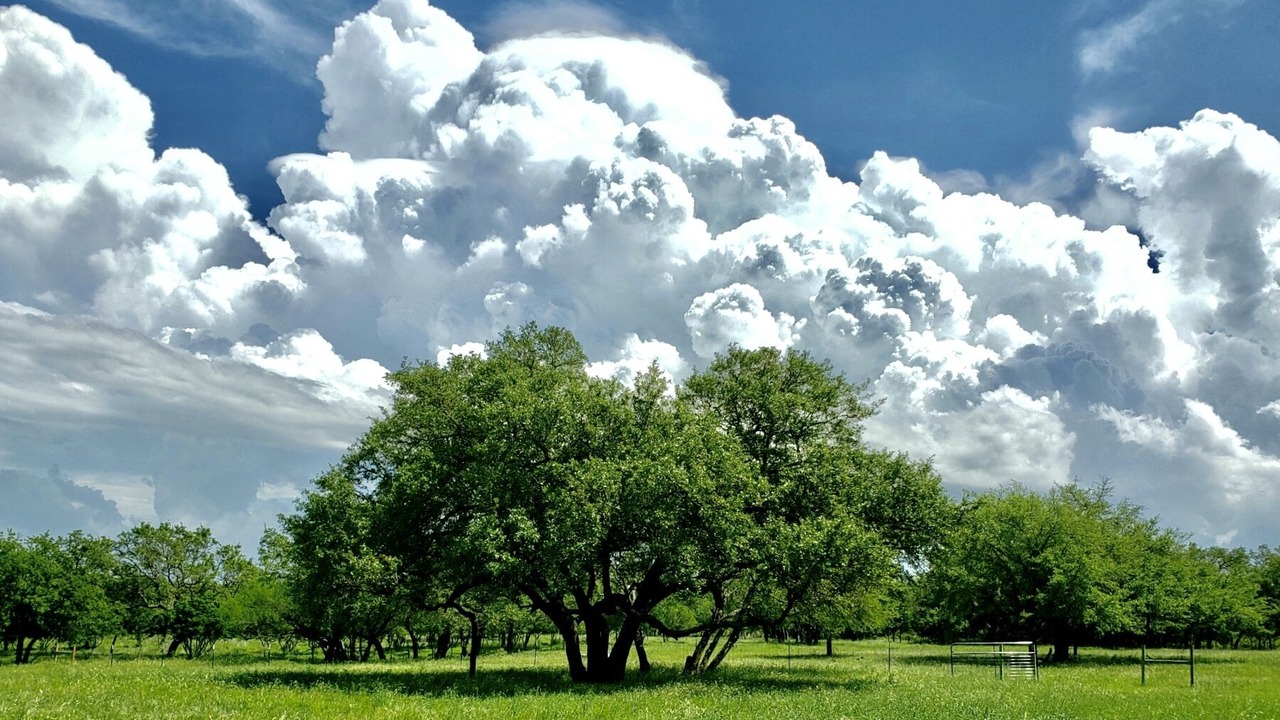 Photo of Outdoor in San Marcos