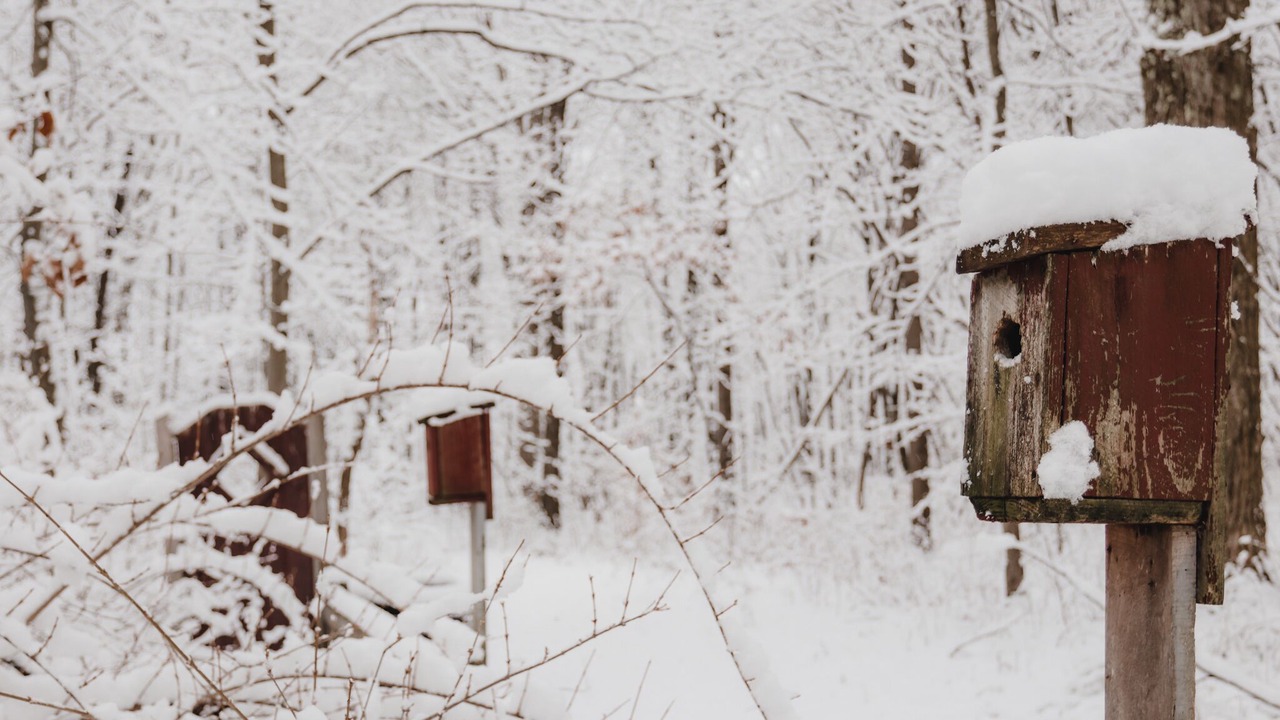 Photo of Outdoor in Portersville