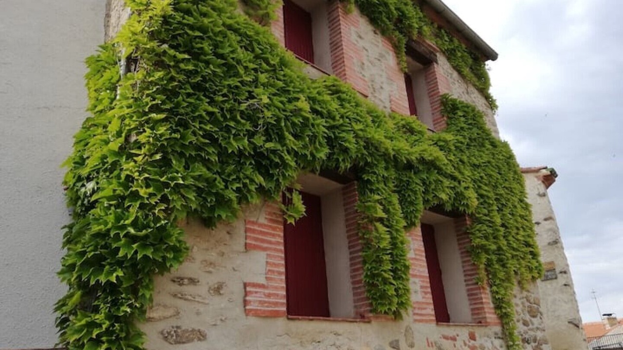 Photo of Outdoor in Espira-de-Conflent