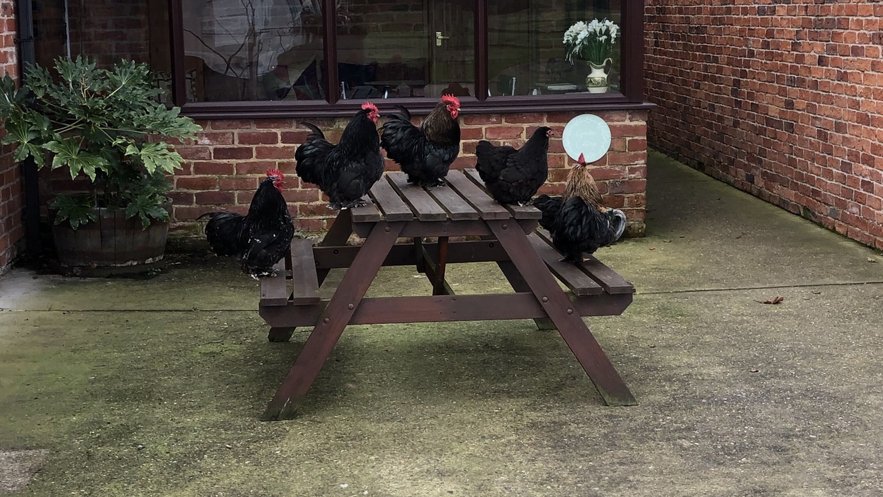 Photo of Outdoor in Newark