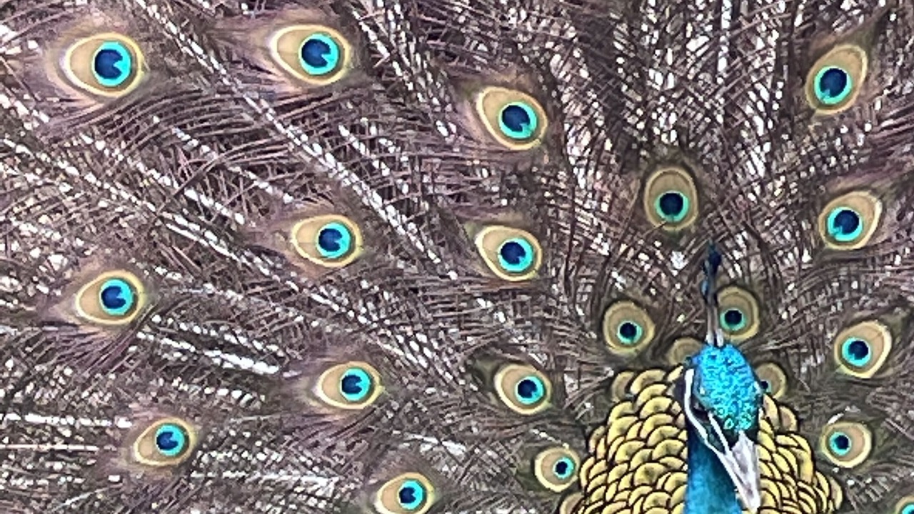 Photo of Others in Newark