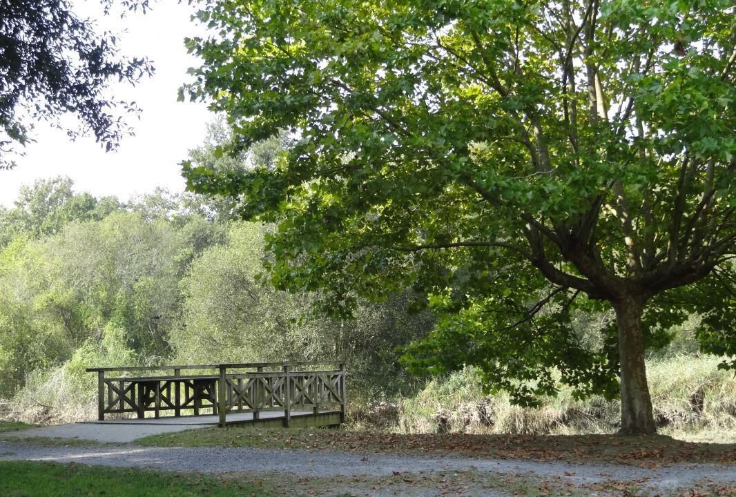 Photo of Outdoor in Urcuit