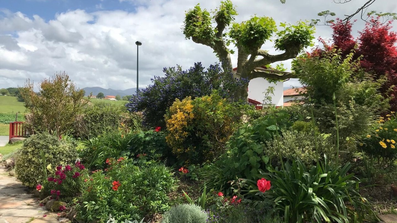 Photo of Outdoor in Sare