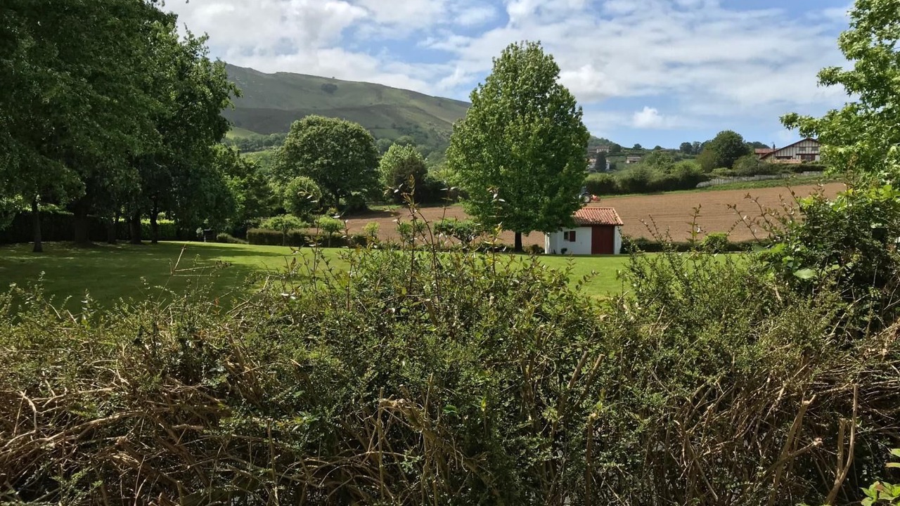 Photo of Outdoor in Sare