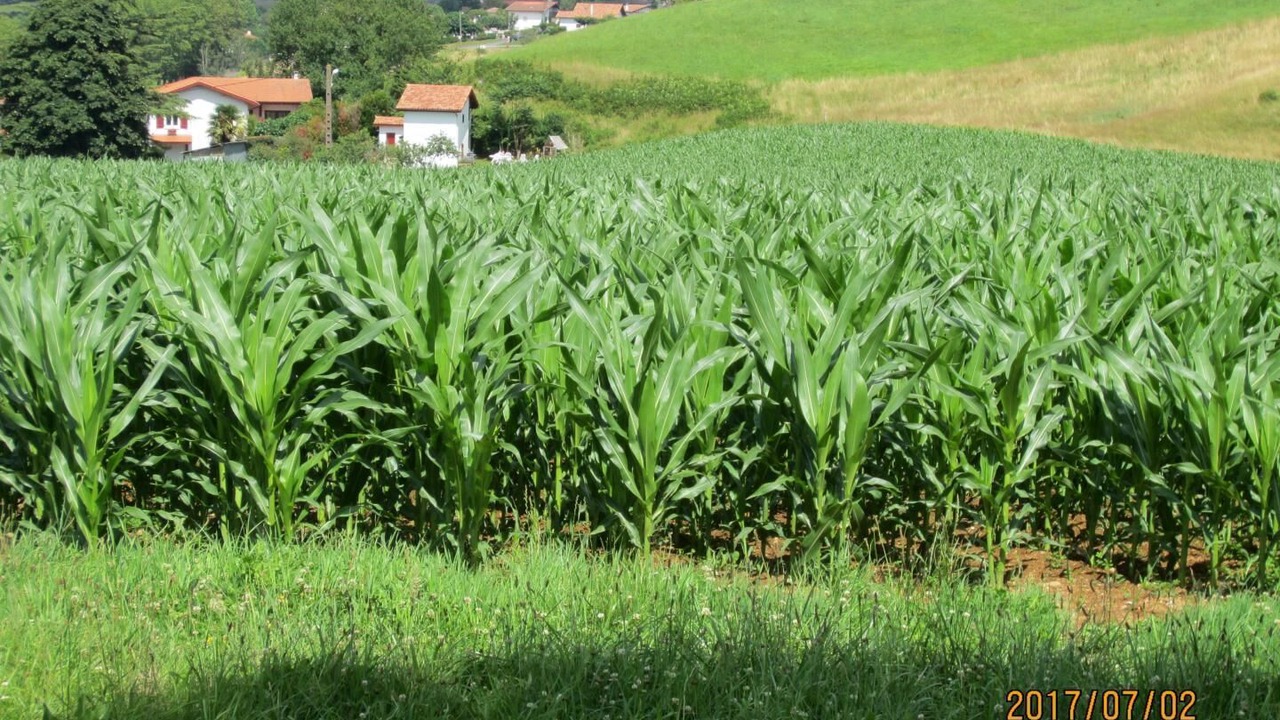 Photo of Outdoor in Hasparren