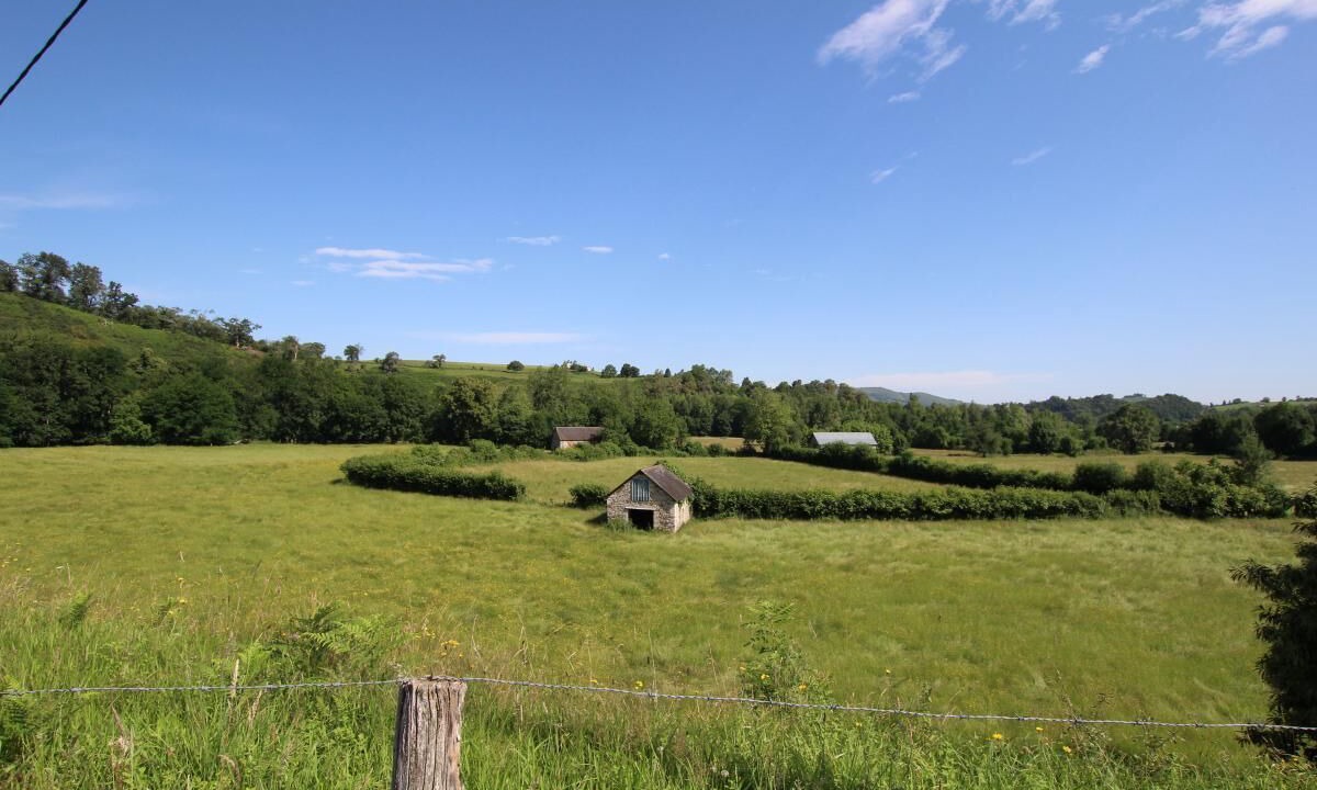 Photo of Others in Arette