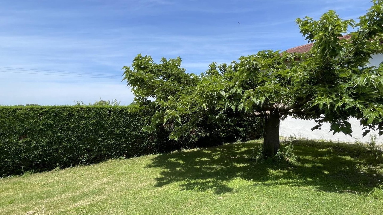 Photo of Outdoor in Bidache