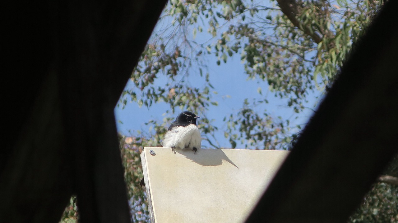 Photo of Others in Eildon