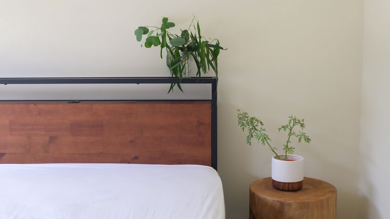 Photo of Bedroom in Eildon