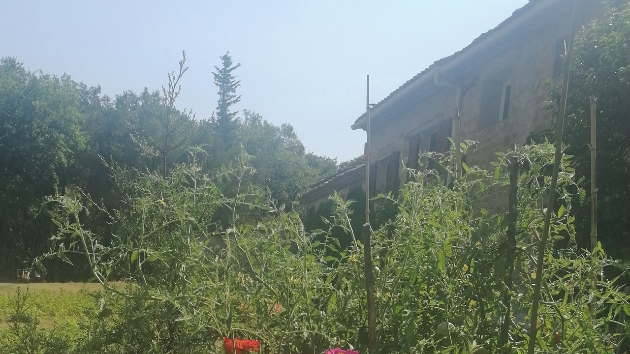 Photo of Outdoor in Sarrians