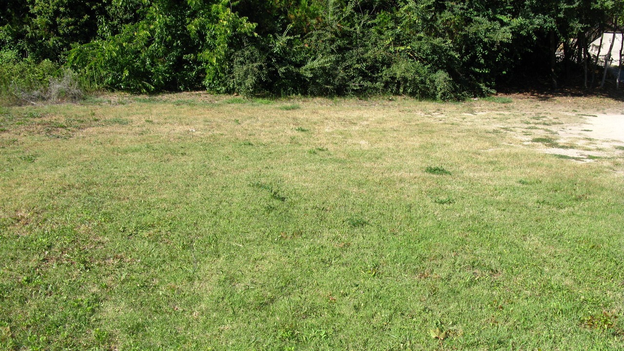 Photo of Outdoor in Sarrians