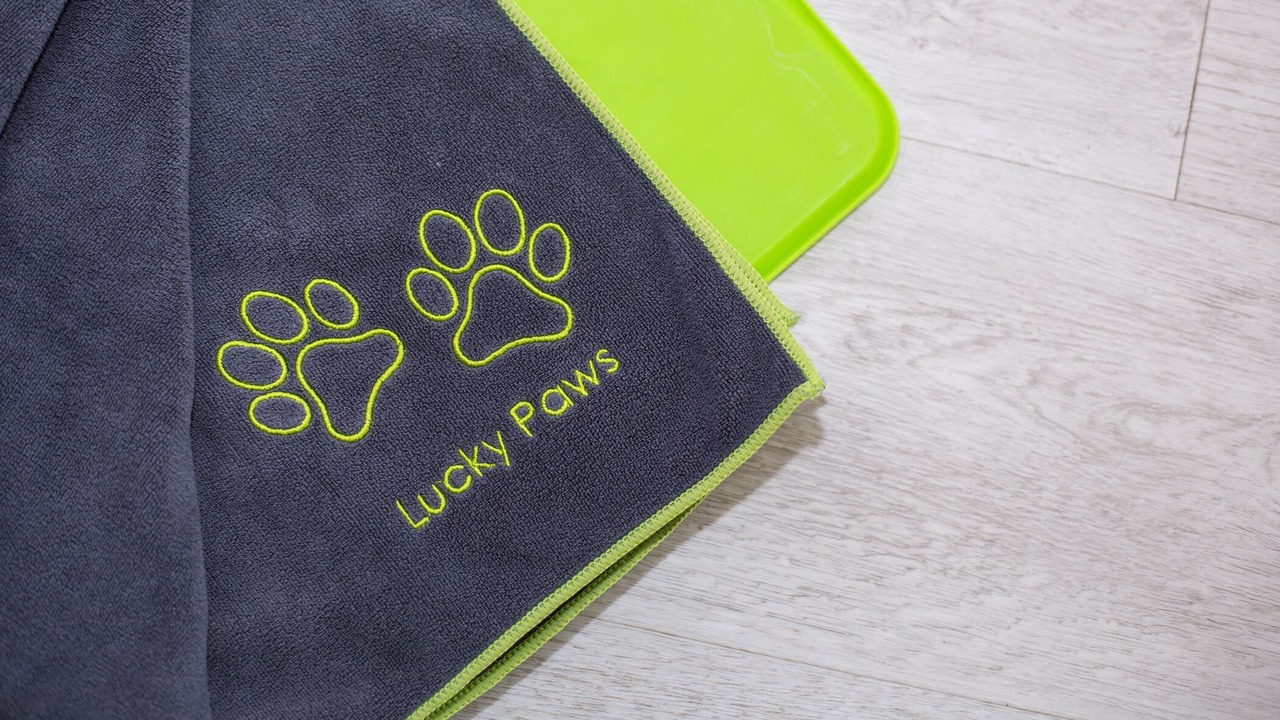 Photo of Others in Park