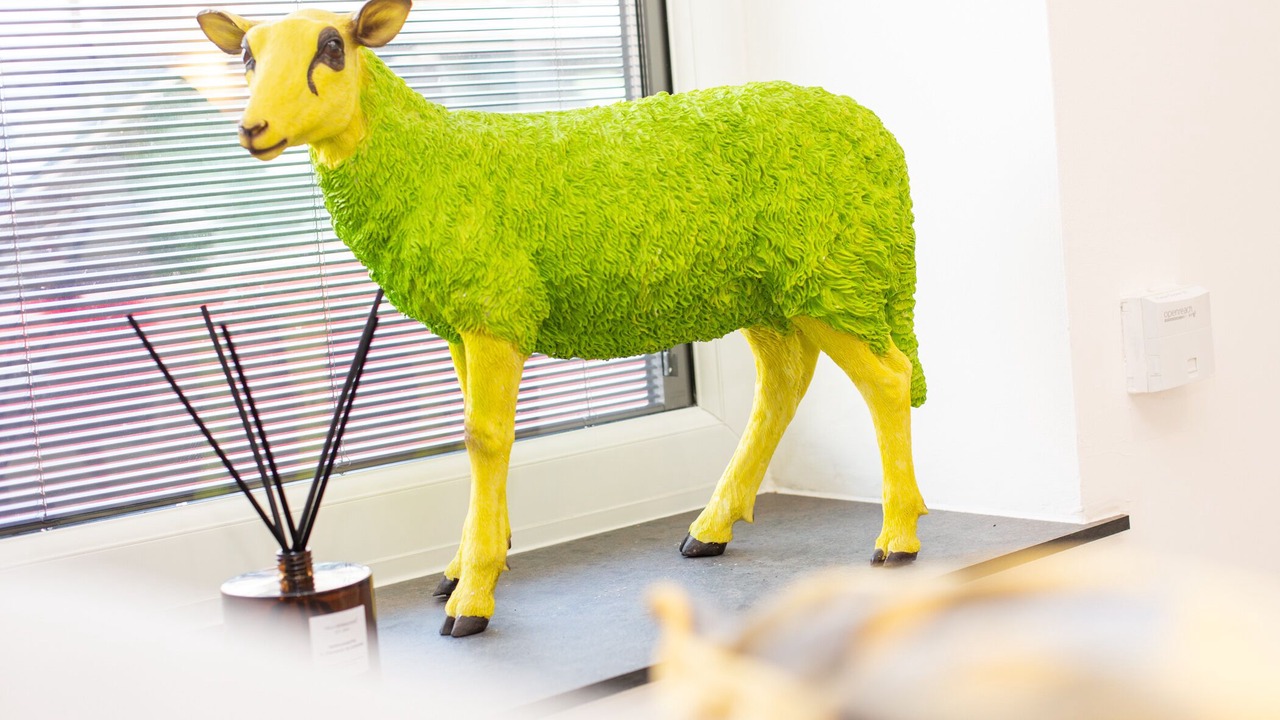 Photo of Others in Park