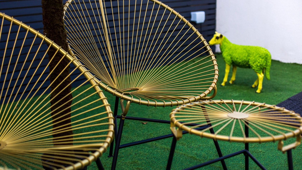 Photo of Outdoor in Park