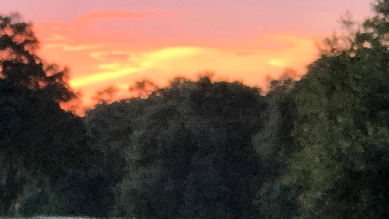 Photo of Others in St. Simons Island