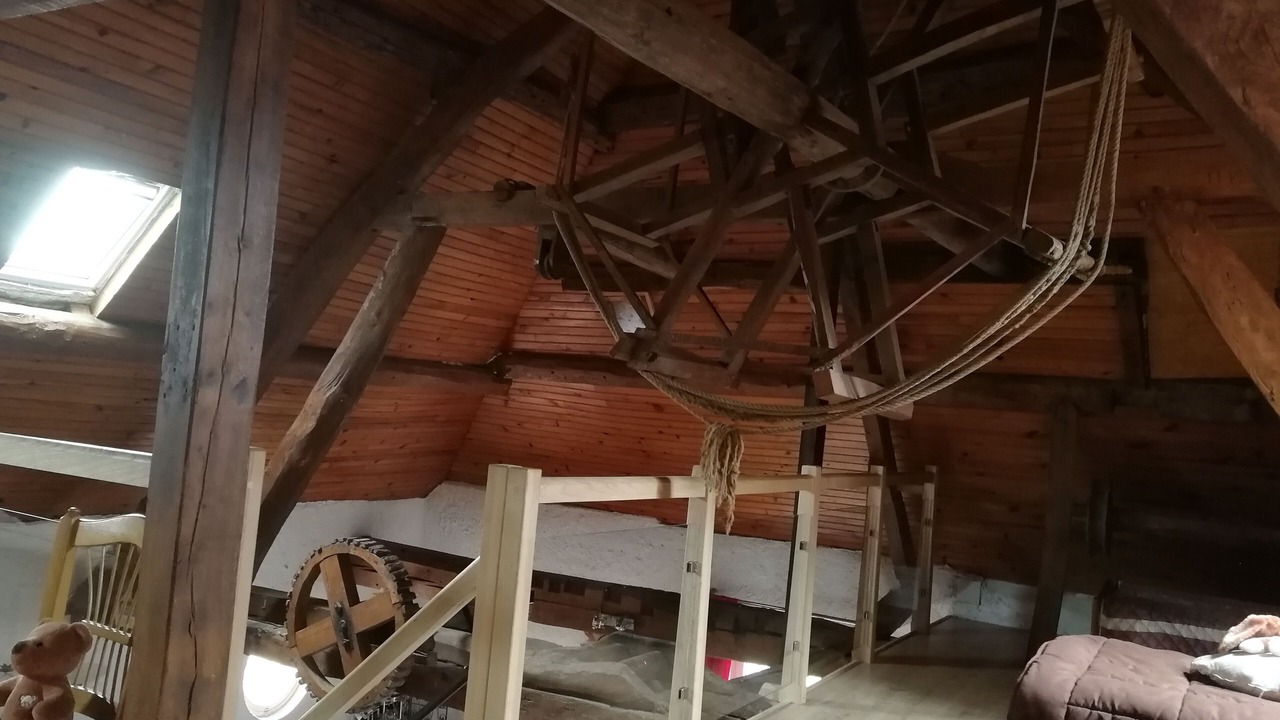 Photo of Others in Renty