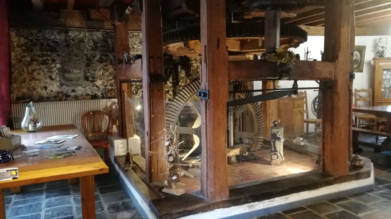 Photo of Others in Renty