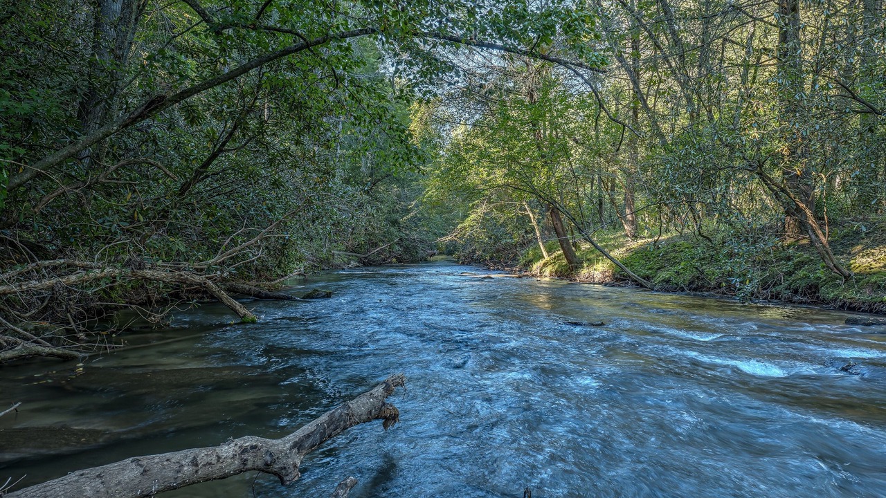 Photo of Others in Cashes Valley
