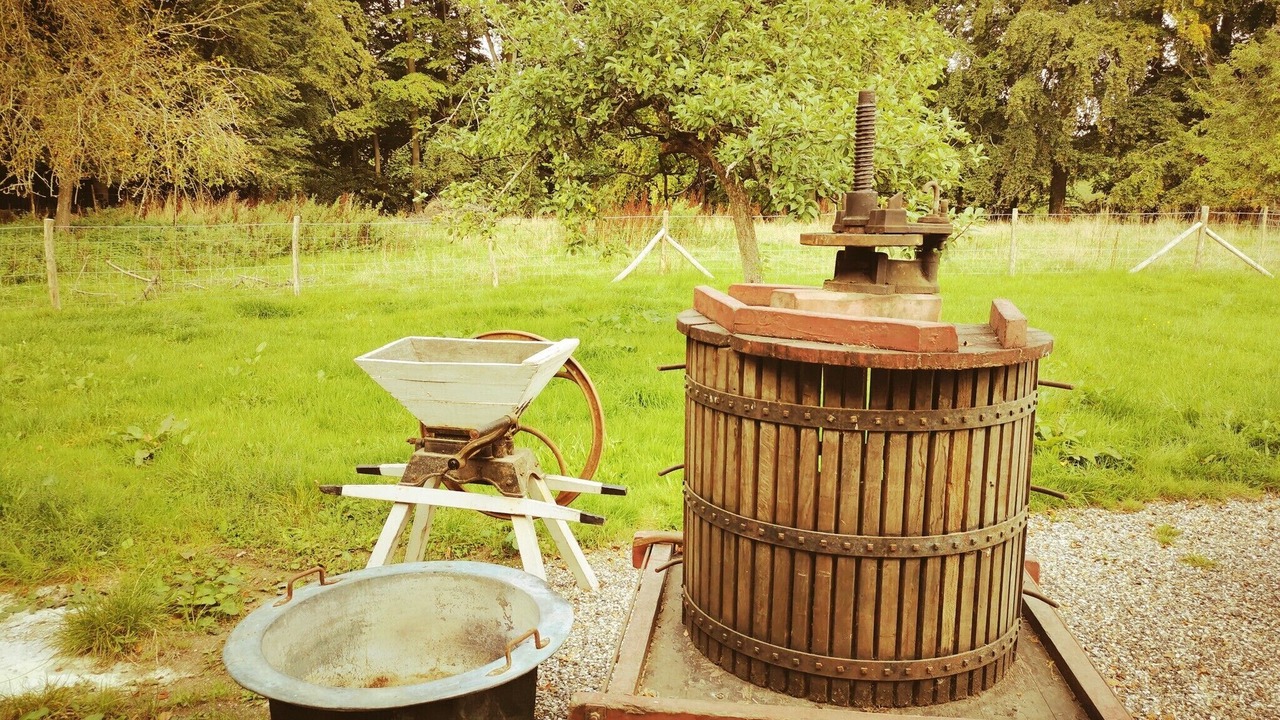 Photo of Outdoor in Derchigny