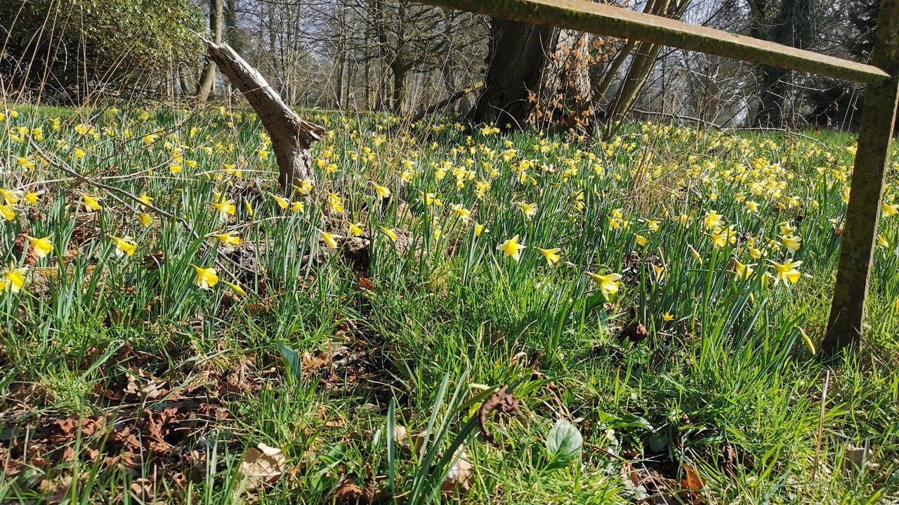 Photo of Outdoor in Derchigny