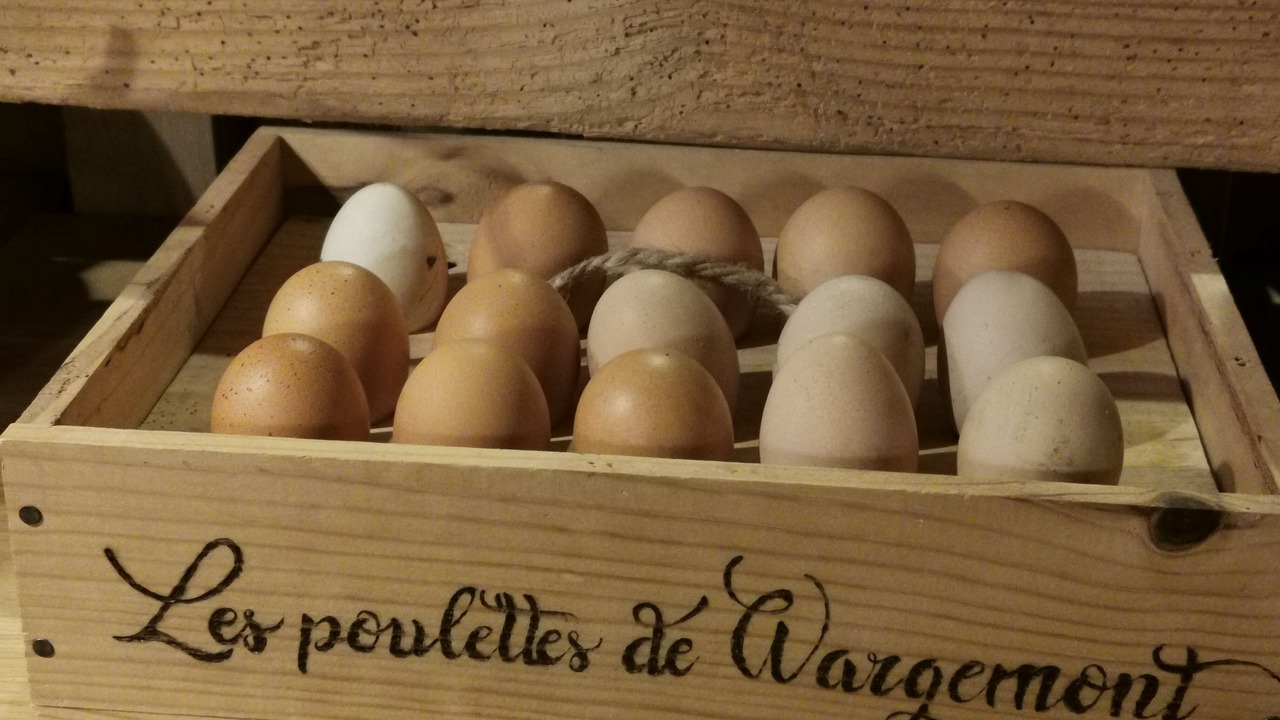 Photo of Others in Derchigny