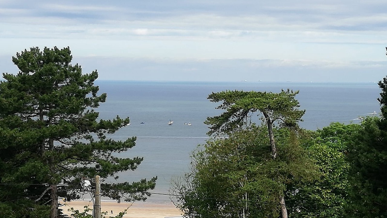 Photo of Others in Trouville-sur-Mer