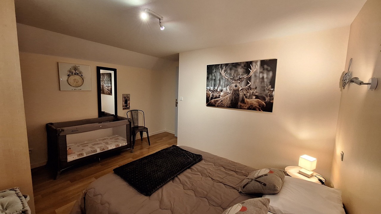Photo of Bedroom in Luz-Saint-Sauveur