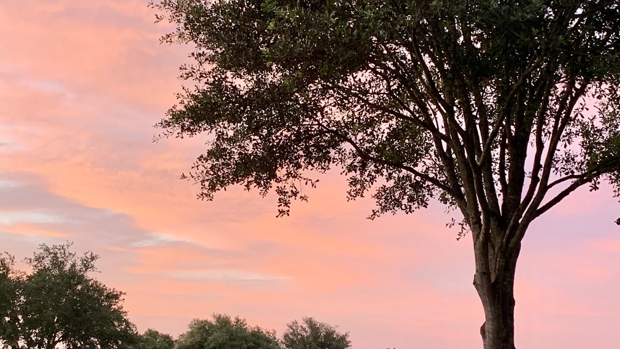 Photo of Outdoor in Waller