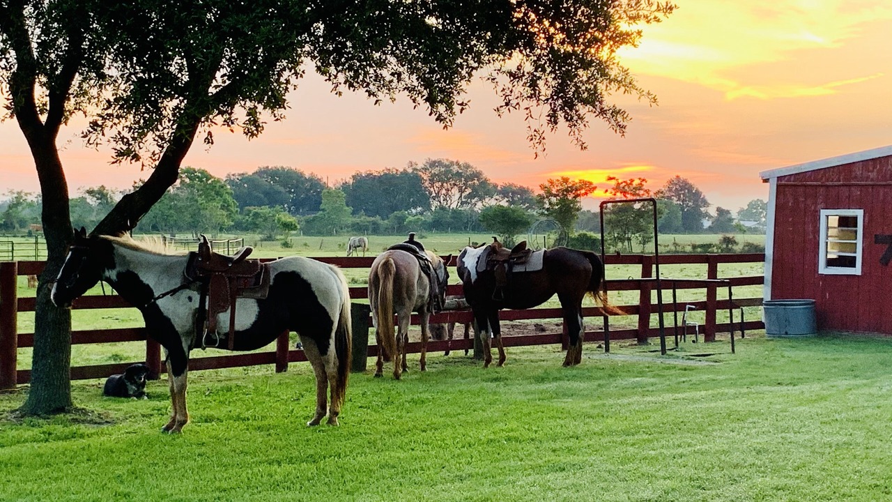 Photo of Outdoor in Waller
