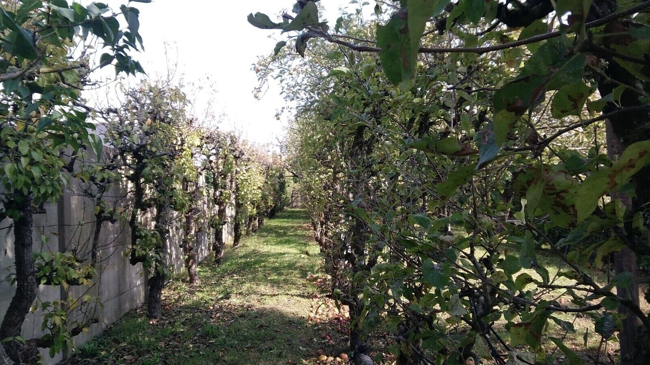 Photo of Outdoor in Saint-Marc-sur-Mer