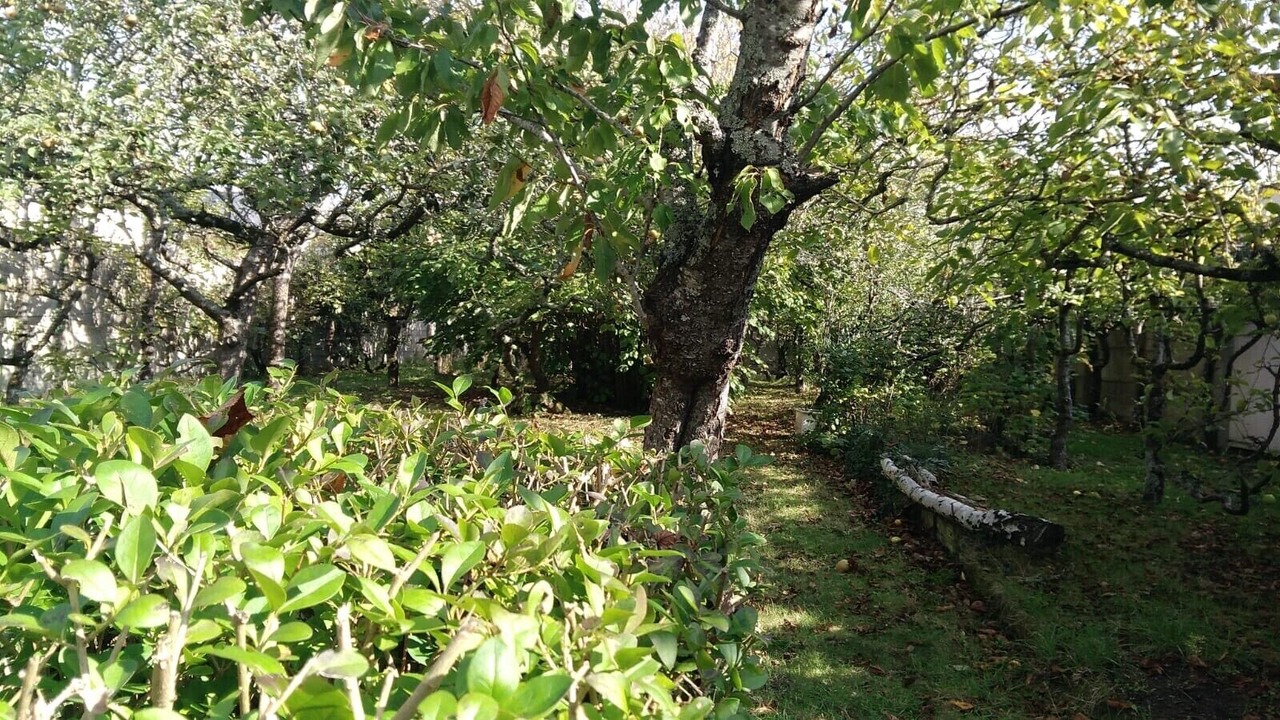 Photo of Outdoor in Saint-Marc-sur-Mer