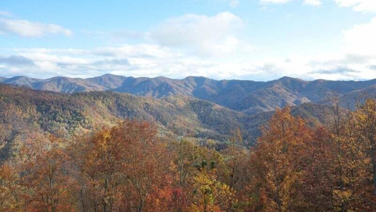 Photo of Others in Bryson City