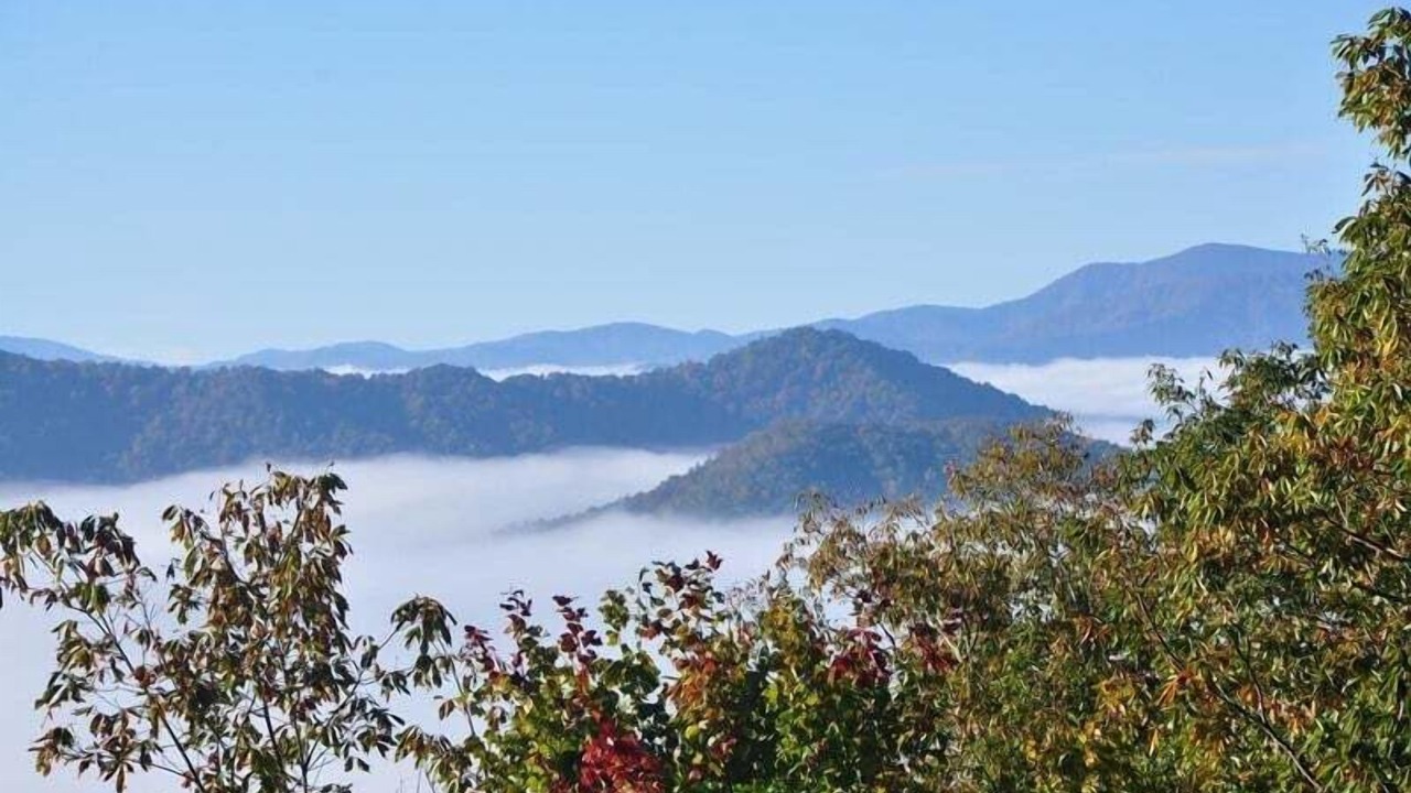 Photo of Others in Bryson City