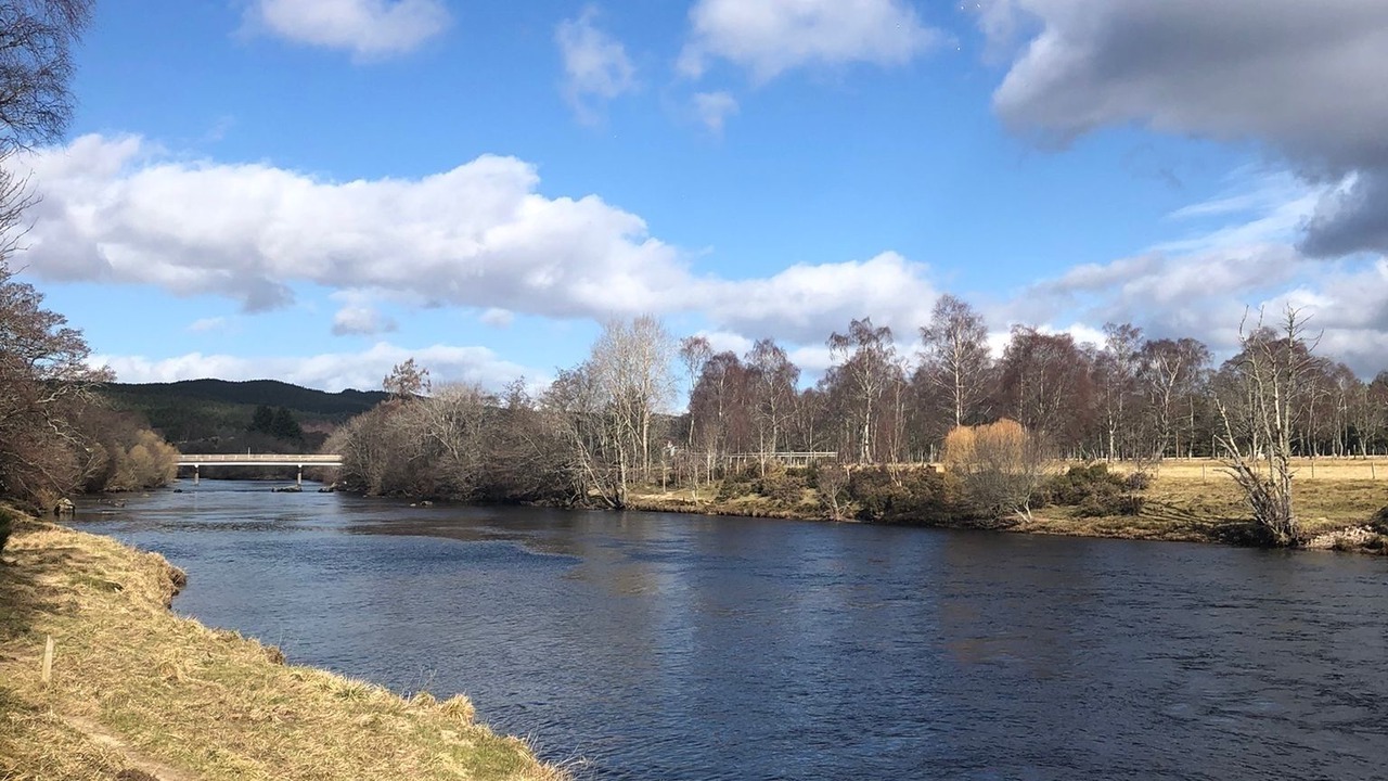 Photo of Others in Boat of Garten