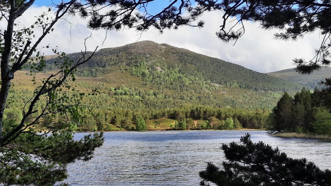 Photo of Others in Boat of Garten