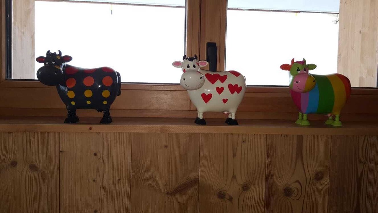 Photo of Others in Cognet