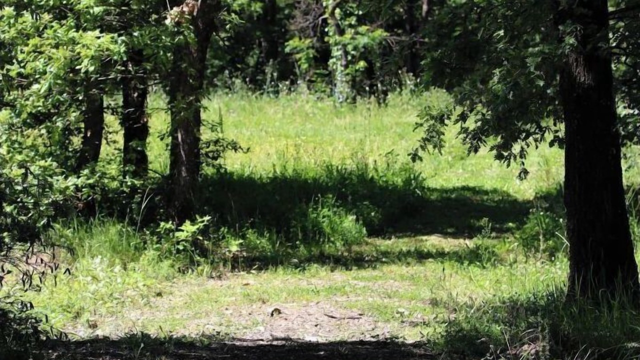 Photo of Outdoor in Pibrac